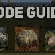 Guide To Nodes Rust