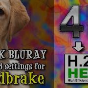 Best Optimal Handbrake Settings To Convert 4K BLURAY To H 265 HEVC On Mac Windows Linux JULY 2023