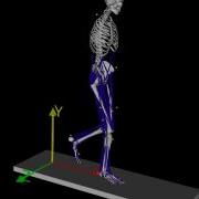 Opensim Walking