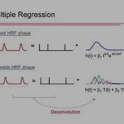 FMRI Analysis Part 3 Deconvolution