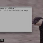 Java Hello World On OS X