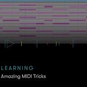 Avid Online Learning Pro Tools 5 Amazing MIDI Tricks