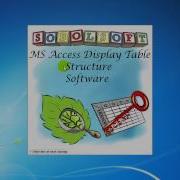 How To Use MS Access Display Table Structure Software