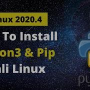 How To Install Python PIP In Kali Linux Fix Bash Pip Command Not Found
