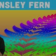 Coding Challenge 108 Barnsley Fern