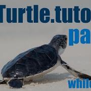 Python Turtle Tutorial Lesson 6 While Loops