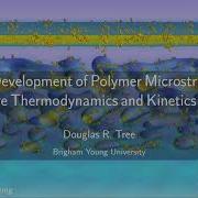 The Development Of Polymer Microstructure Where Thermodynamics And Kinetics Meet AIChE 2020