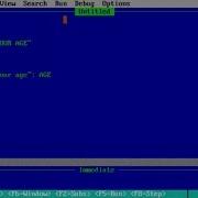 What Is The Function Of REM CLS INPUT PRINT Statement In QBASIC In Nepali