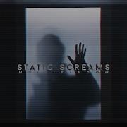 All I Speak Is Static Screams