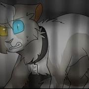 Problems PMV Cat157E
