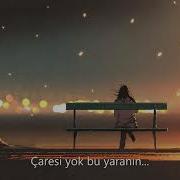 Cihan Mürtezaoğlu Bir Beyaz Orkide