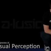 A Lusion Visual Perception