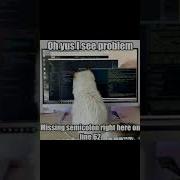 Computer Cat Coding Style 1 2022 Shorts Funnyvideo Techguraini Viralvideo Trending Computer