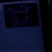 Reactable Casera 2 0