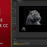 Adobe Animate CC Tutorial 30 Action Script Basics Beginners Tutorial
