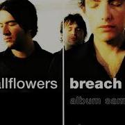 The Wallflowers Sleepwalker Andy Wallace Remix