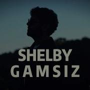Shelby Gamsız