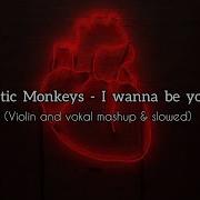 Arctic Monkeys I Wanna Be Yours Violin And Vokal Mashup Slowed