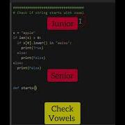 Junior Vs Senior Developer Coding Programming Python Shorts