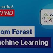 Random Forest In Machine Learning Machine Learning Training Edureka Machine Learning Live 5