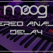 Moog Matriarch Stereo Analog Delay