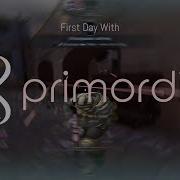 First Day With Primordial Dev