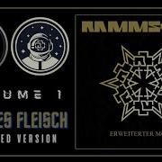 11 Rammstein Weisses Fleisch Extended Version CD1