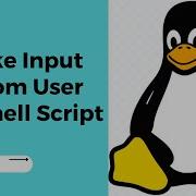 Take Input From User In Shell Script Read Data From User In Shell Script