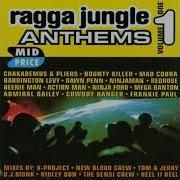 Various Ragga Jungle Anthems Vol 1 1995