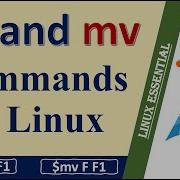 Как копировать и перемещать файлы в Linux Cp Mv