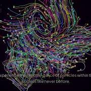 Visualizing The Nucleus