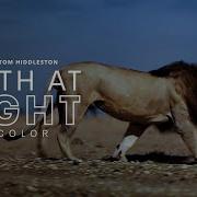 Earth At Night In Color Official Trailer Apple TV