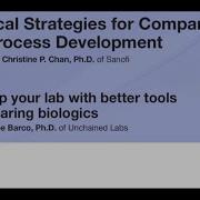 ANALYTICAL STRATEGIES FOR COMPARABILITY IN BIOPROCESS DEVELOPMENT