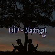 Madrigal DİP 1 1X