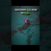Speed Almost Drowned Ishowspeed Edit Shorts Waterpolo