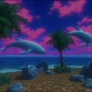 𝗪𝗛𝗔𝗟𝗘 𝗣𝗔𝗥𝗔𝗗𝗜𝗦𝗘 鯨園 Low Poly Ambient Vaporwave