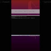 How To Get The Last Character Of A String In A Shell Field Separator Linux Tips And Tricks