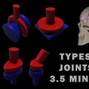 JOINT ANATOMY In 3 5 MINUTES