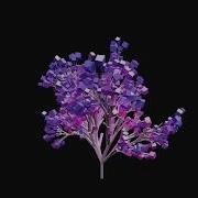 Fractal Trees