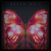 NEVER QUIT
