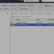 ICS 321 Part 1 Random Guess Program Using PHP Only