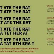 The Genetic Code And Mutations