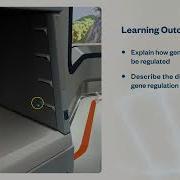 Gene Regulation Virtual Lab
