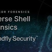 Linux EDR Reverse Shell Detection Investigation And Forensics
