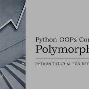 17 Polymorphism In Python With Examples