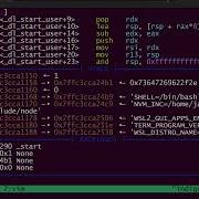 Exploit Writing In Python W Pwntools I Love Birds TJCTF 2025