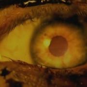 SLAYER Eyes Of The Insane OFFICIAL MUSIC VIDEO