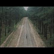 Hollow Coves The Woods Official Music Video