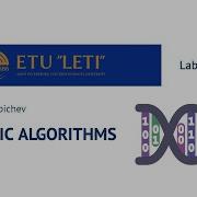 Lab 5 Genetic Search Algorithms