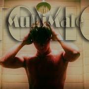 MultiMale Toxic